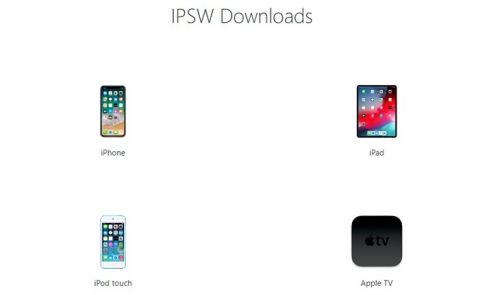 Hướng dẫn cách cập nhật iOS 13, iPadOS ngay trên iPhone/iPad